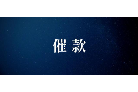 分宜讨债公司